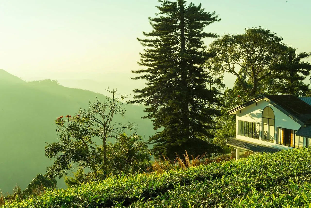 Mount Valley Resort - A Secluded Getaway Munnar India