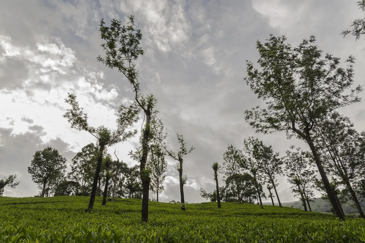 Mount Valley Resort - A Secluded Getaway Munnar
