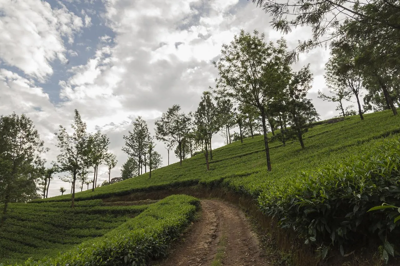 Mount Valley Resort - A Secluded Getaway Munnar