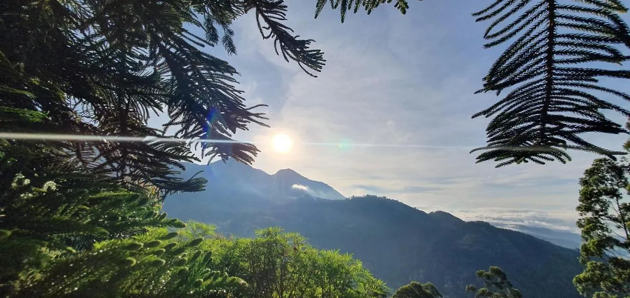 Mount Valley Resort - A Secluded Getaway Munnar